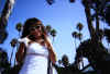 s_palmtree.jpg (71944 bytes)